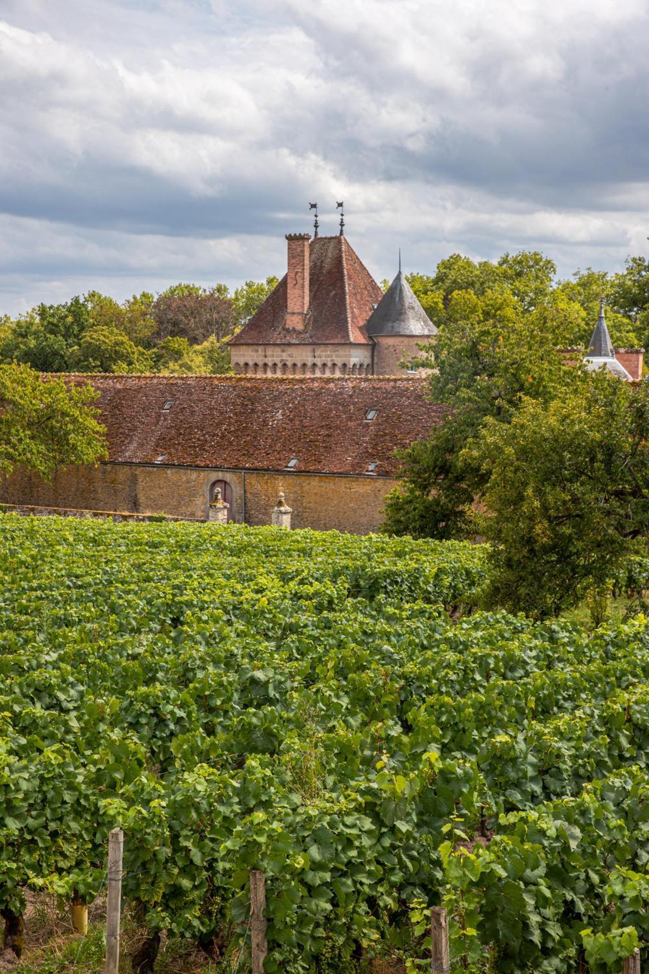 Chateau De La Grange Saint-Emiland Kültér fotó